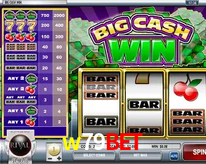 Níveis do programa VIP da w79bet